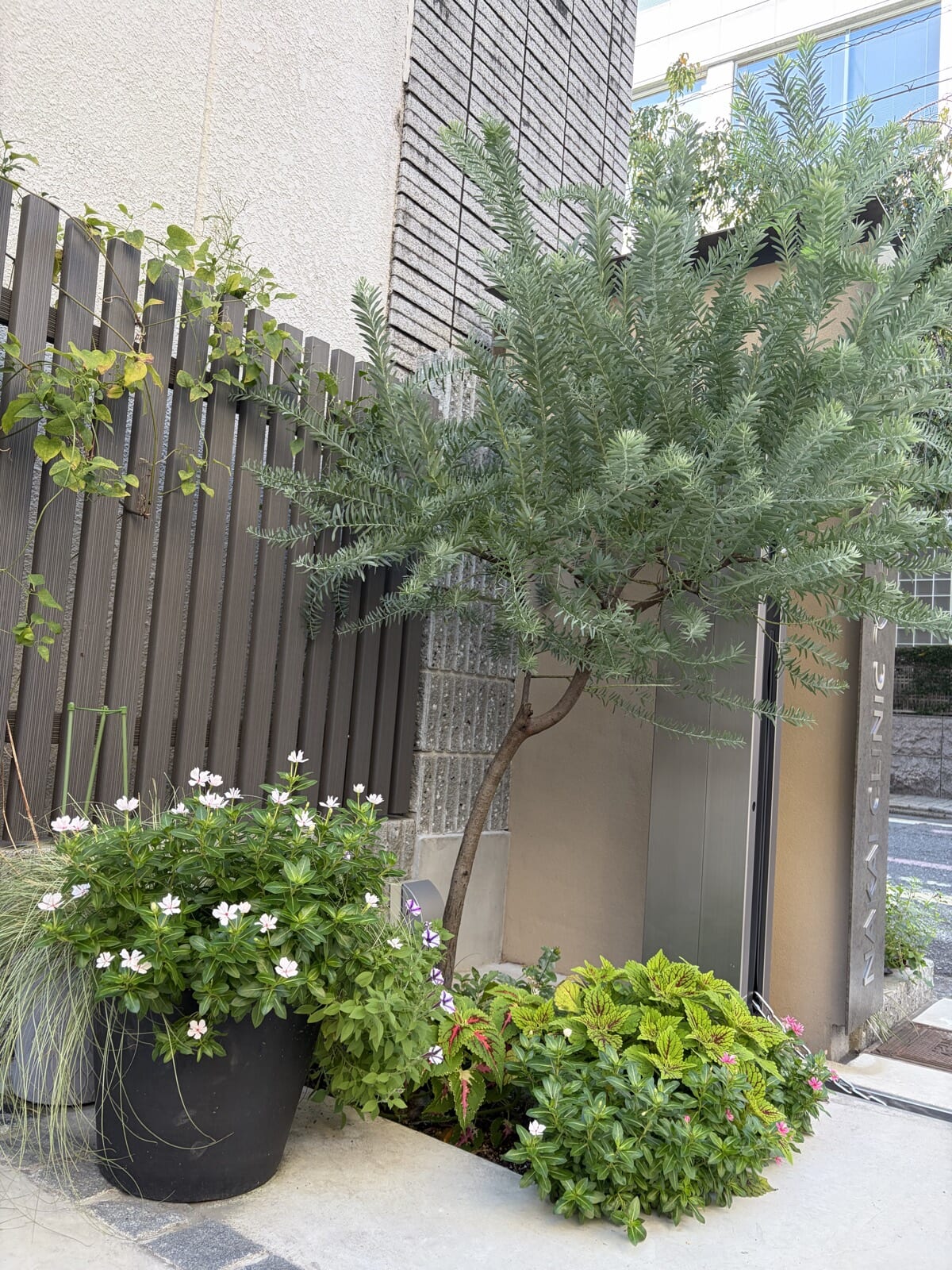 医院の入口を彩る花々と緑